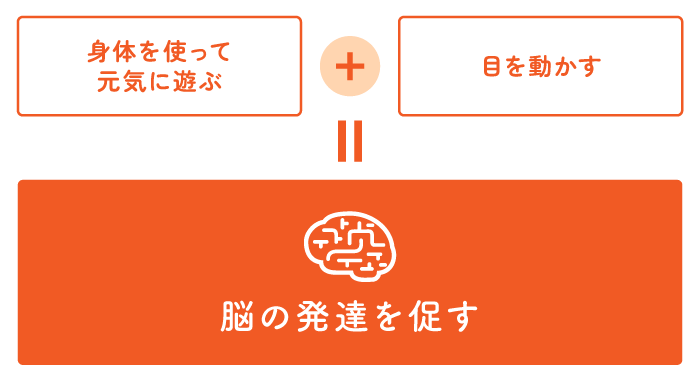 脳の発達を促すイメージ